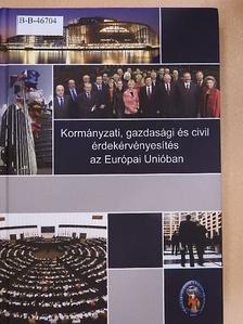 Boda Zsolt - Kormányzati, gazdasági és civil érdekérvényesítés az Európai Unióban [antikvár]
