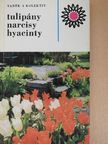 Ing. Eva Petrová - Tulipány, narcisy, hyacinty [antikvár]
