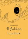 Árokszállási Edit - A fiókban lapultak [eKönyv: epub, mobi]