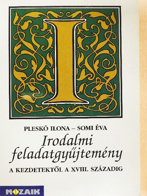 Pleskó Ilona - Irodalmi feladatgyűjtemény I. [antikvár]