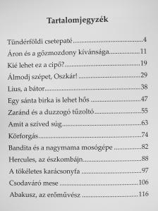 Koncz Erika - Körforgás (dedikált példány) [antikvár]