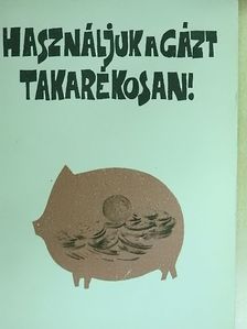 Használjuk a gázt takarékosan! [antikvár]