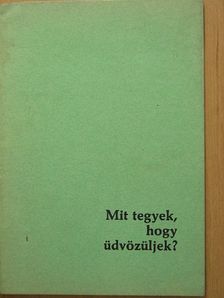 Mit tegyek, hogy üdvözüljek? [antikvár]