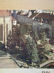 Tiberiu Morariu - Cluj [antikvár]
