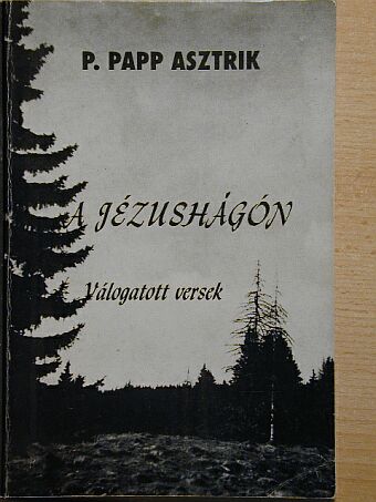 P. Papp Asztrik - A Jézushágón [antikvár]
