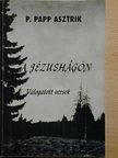 P. Papp Asztrik - A Jézushágón [antikvár]