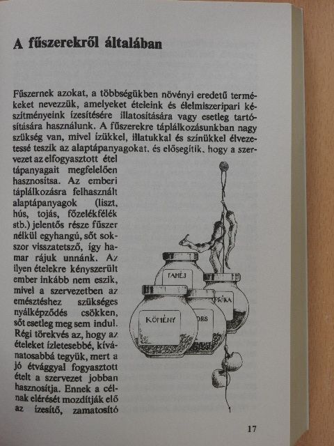 Romváry Vilmos - Fűszerek könyve [antikvár]