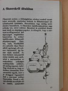Romváry Vilmos - Fűszerek könyve [antikvár]