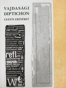Csányi Erzsébet - Vajdasági diptichon [antikvár]