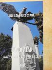 Bige Szabolcs Csaba - Búvópatak, avagy hamu alatt izzik a zsarát [antikvár]