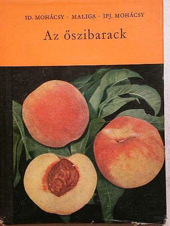 ifj. Mohácsy Mátyás - Az őszibarack [antikvár]