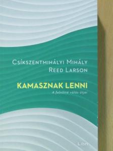 Csíkszentmihályi Mihály - Kamasznak lenni [antikvár]