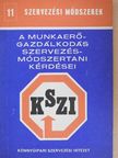 Dr. Iványi Tibor - A munkaerő-gazdálkodás szervezésmódszertani kérdései  [antikvár]