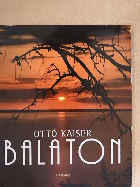 Dlusztus Imre - Balaton [antikvár]