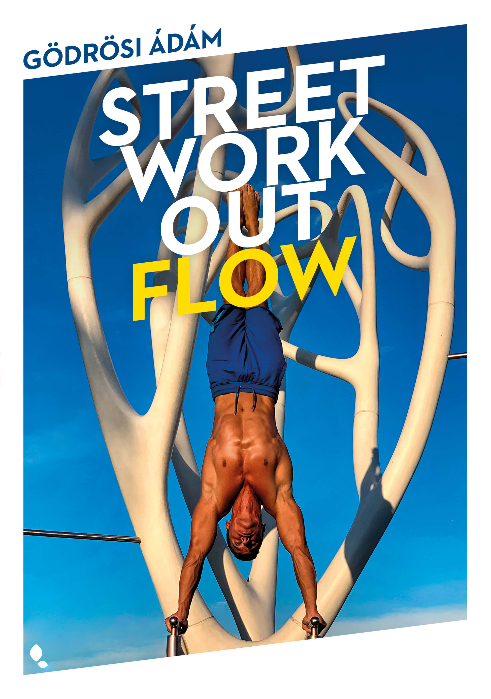 Gödrösi Ádám - Street workout flow