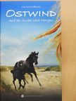 Lea Schmidbauer - Ostwind - Auf der Suche nach Morgen [antikvár]