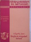 K. Györffy Jenő - Konyha- és virágoskert kártevői [antikvár]