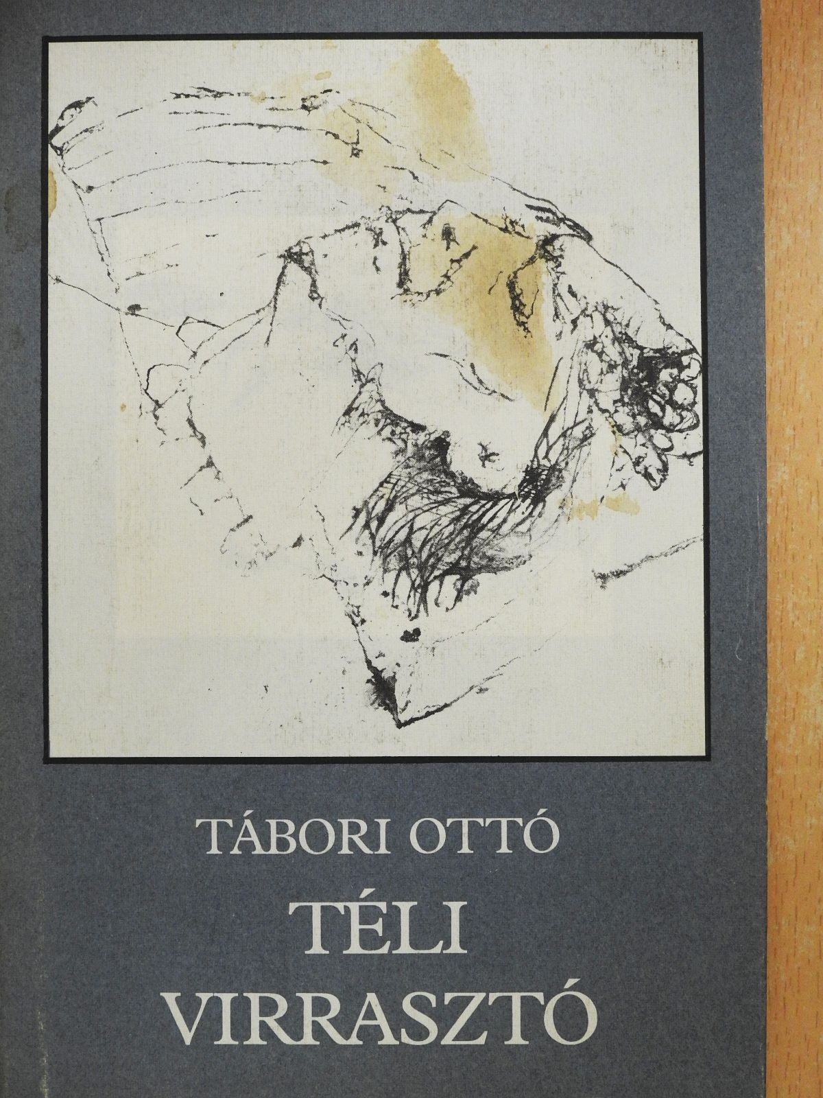 Tábori Ottó - Téli virrasztó (dedikált példány) [antikvár]