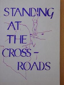 Standing at the crossroads [antikvár]