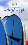 Antje Babendererde - Indigó nyár [antikvár]
