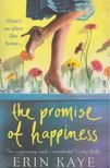 KAYE, ERIN - The Promise of Happiness [antikvár]
