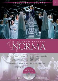 Alberto Szpunberg - Vincenzo Bellini: Norma [antikvár]