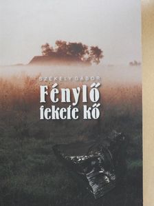 Székely Gábor - Fénylő fekete kő [antikvár]