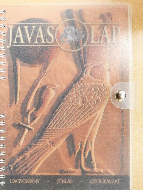 Barna Gábor - Javaslap 2008. tél [antikvár]