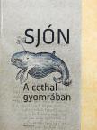 Sjón - A cethal gyomrában [antikvár]