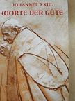 Johannes XXIII. - Worte der Güte [antikvár]