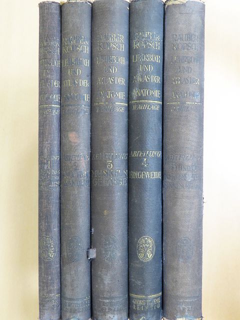 Dr. Fr. Kopsch - Lehrbuch und Atlas der Anatomie des Menschen 1-6. [antikvár]