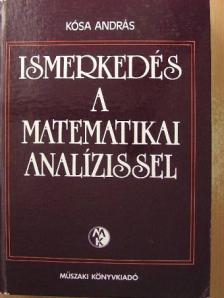 Kósa András - Ismerkedés a matematikai analízissel [antikvár]