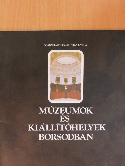 Szabadfalvi József - Múzeumok és kiállítóhelyek Borsodban [antikvár]