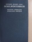 Brandt - Schulwörterbuch Deutsch-Afrikaans/Afrikaans-Deutsch [antikvár]