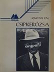 Ignotus Pál - Csipkerózsa [antikvár]