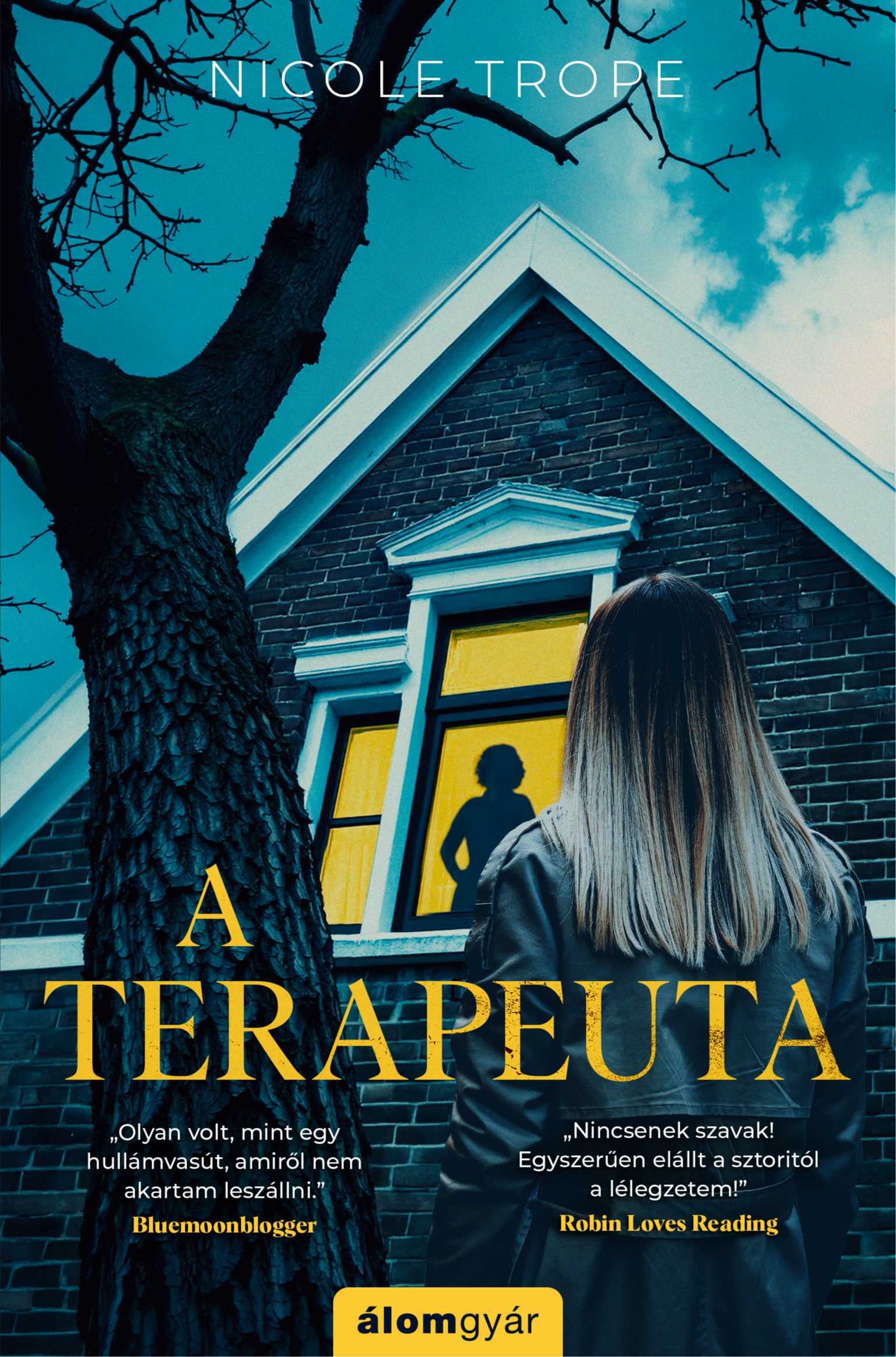 Nicole Trope - A terapeuta [eKönyv: epub, mobi]