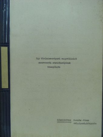 Kocsis János - Egy élelmiszeripari nagyvállalat szervezeti strukturájának vizsgálata/Egy élelmiszeripari nagyvállalat szervezeti strukturájának néhány kérdése [antikvár]