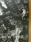 Cseh Tamás - New York [antikvár]