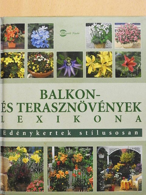 Hermann Hackstein - Balkon- és terasznövények lexikona [antikvár]