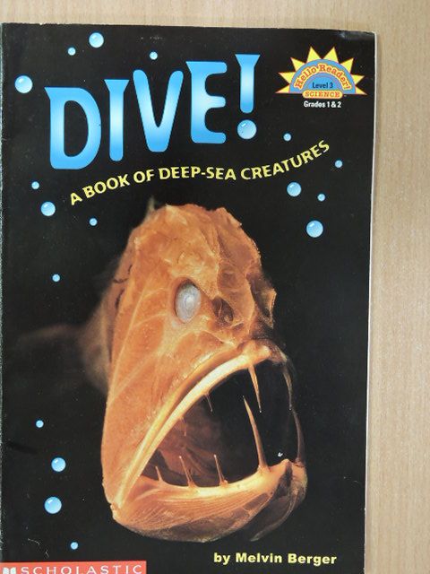 Melvin Berger - Dive! [antikvár]