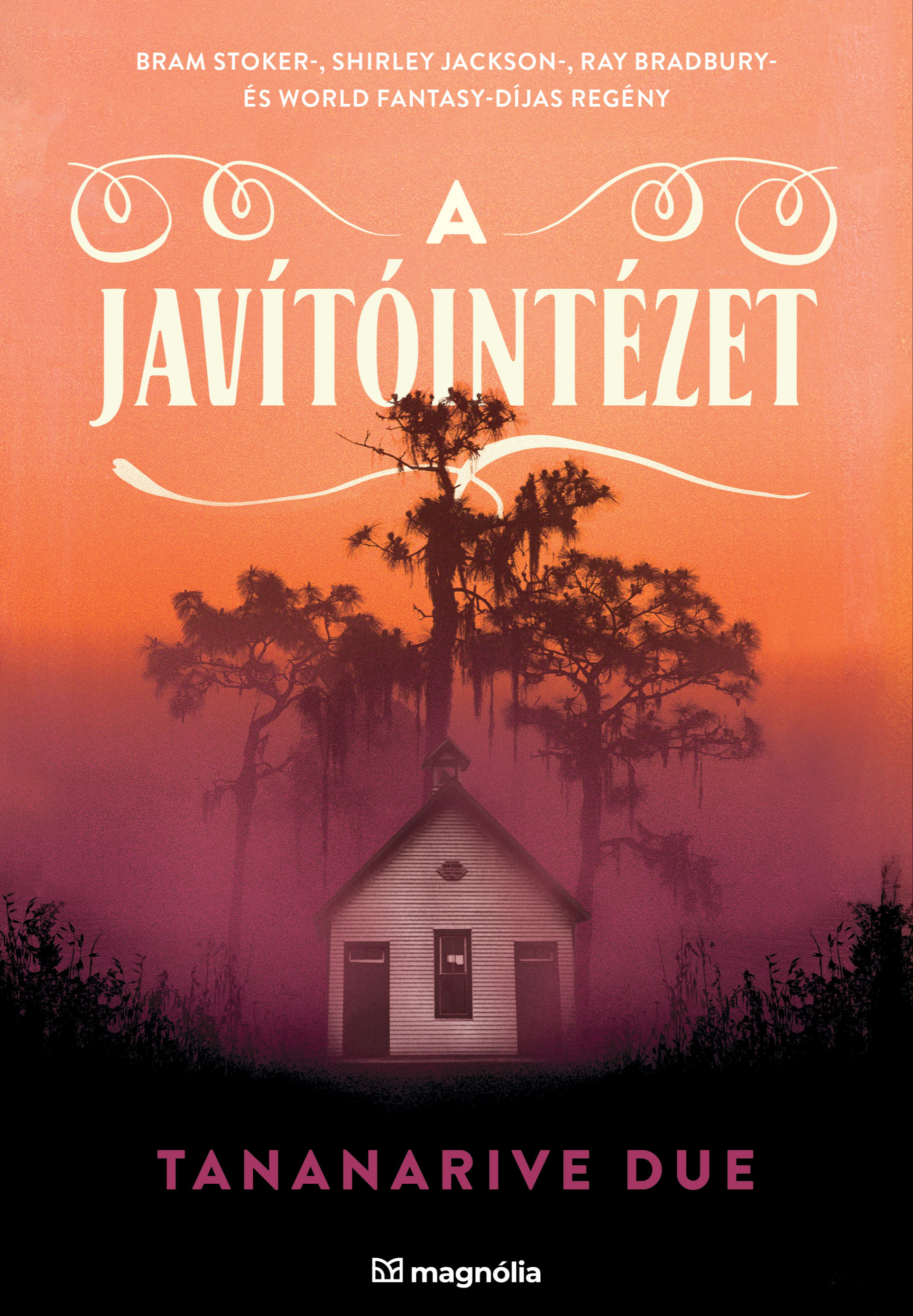 Tananarive Due - A javítóintézet [eKönyv: epub, mobi]