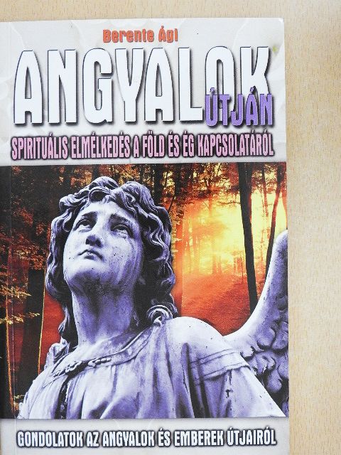 Berente Ági - Angyalok útján [antikvár]
