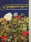 Csűrös László - Gyógynövények mint természetes gyógyanyagok [antikvár]