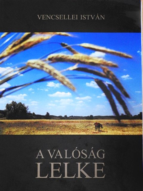 Bényei József - A valóság lelke [antikvár]
