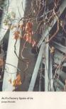 Jacopo Brunello - As if a Factory Spoke of Us