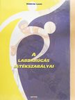 Hornyák Lajos - A labdarúgás játékszabályai [antikvár]