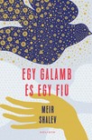 Meir Shalev - Egy galamb és egy fiú [eKönyv: epub, mobi]