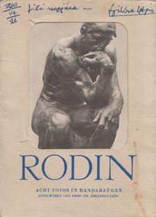 JOHANNES JAHN - Rodin [antikvár]