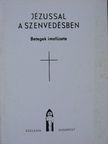 Jézussal a szenvedésben [antikvár]
