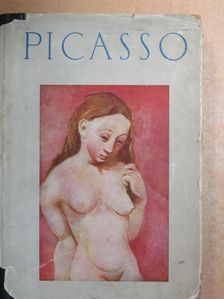 Kállai Ernő - Picasso [antikvár]